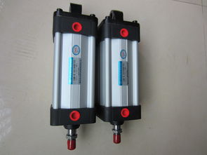 廣東可信賴的10b 5氣缸及磁偶氣缸供應商推薦